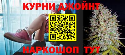 стаф Берёзовский