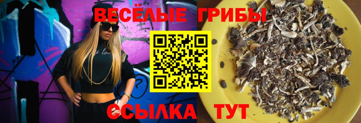 Ижевск  Галлюциногенные грибы Magic Shrooms  дарнет шоп  Вход с VPN 